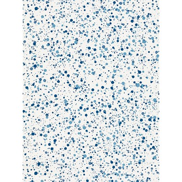 Scalamandre Spatter Wallcovering
