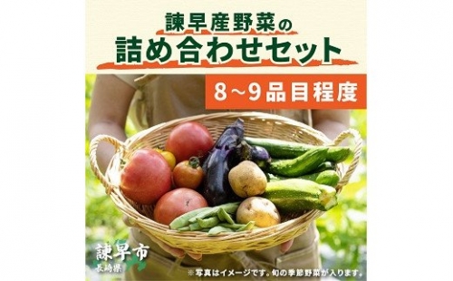 諫早産野菜の詰め合わせ(8～9品目程度)