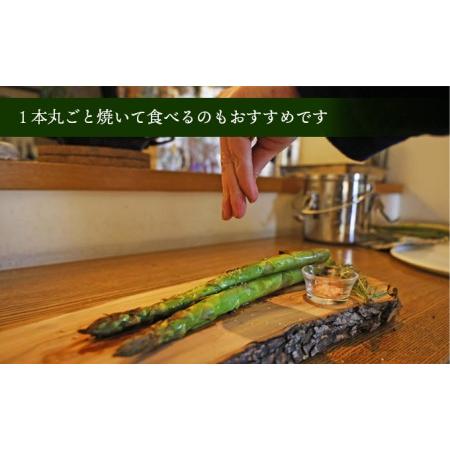 ふるさと納税 小豆島の朝採れアスパラ 『さぬきのめざめ』２Lサイズ１kg　配送期間：２月中旬〜５月中旬まで 香川県土庄町