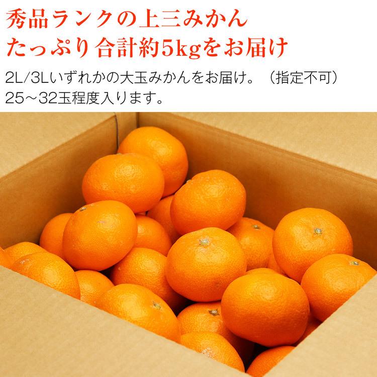 みかん 5kg 熊本県産 大玉 秀 上三みかん 完熟 熊本みかん 25〜32玉 2L 3Lサイズ 蜜柑 ミカン 産地直送 産直 常温便 同梱不可 指定日不可