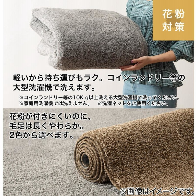ほこりが取れやすい洗えるラグ(Nクリーンウォッシュ GY 200X240