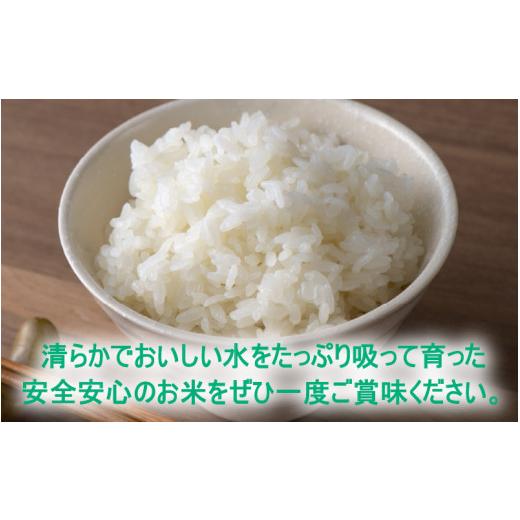 ふるさと納税 福井県 大野市 減農薬・減化学肥料の特別栽培コシヒカリ 白米 10kg（5kg×2）農家直送