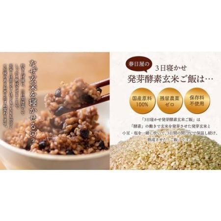 ふるさと納税 3日寝かせ 発芽 酵素 玄米 ごはん 125g×1食 大分県九重町