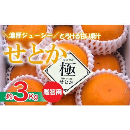 ふるさと納税 せとか 秀品 12個 約3Kg ＜2月下旬より発送予定＞ 柑橘 せとか みかん 果物 せとか くだもの フルーツ せとか おすす.. 愛媛県松山市