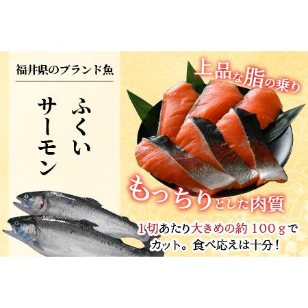 ふるさと納税 《定期便3回》ふくいサーモン 切り身 100g×6切 計600g ＜鮮度抜群！真空冷凍＞ ／ 生食OK 刺身 焼き魚 鮭 国産.. 福井県あわら市