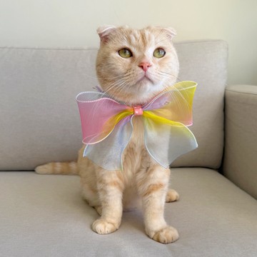 【恰氏手作】中秋扮演兔兔蝴蝶結斗篷披風寵物領巾貓狗項圈