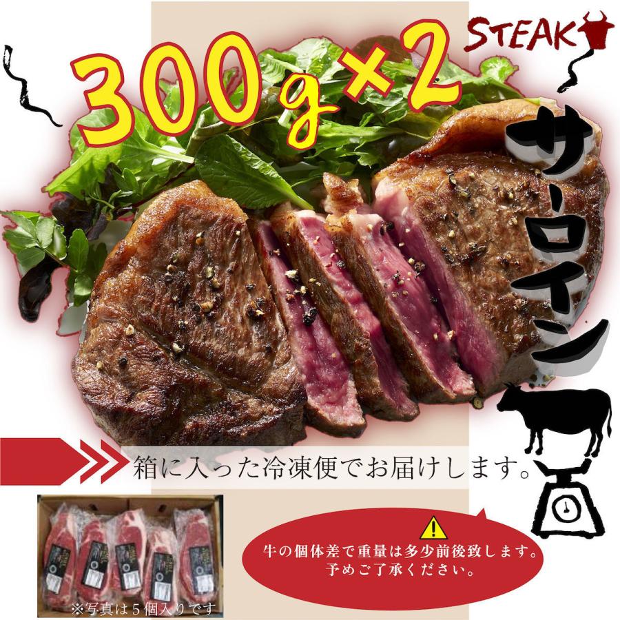 サーロインステーキ600g(300g×2枚) グリルセレクション BBQ アウトドア キャンプ用