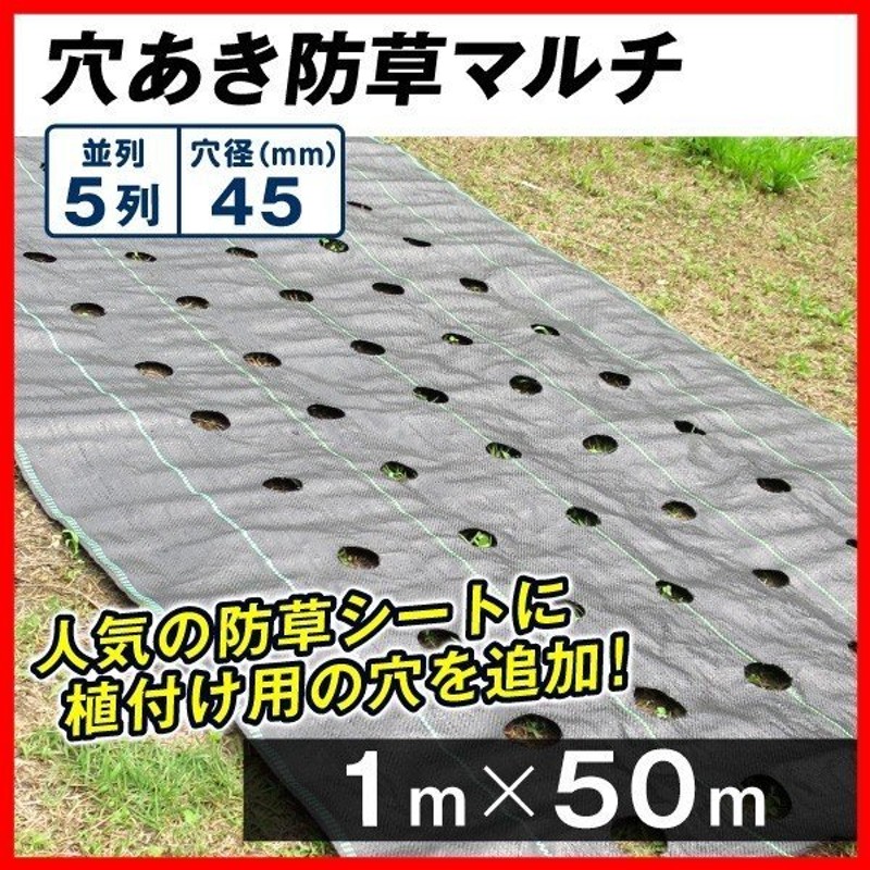 日本初の 農用シート 不織布 農業用 べた掛け栽培 愛栽シートA 1.5×100m 1巻1組 寒冷紗 育苗 育苗シート 国華園  discoversvg.com