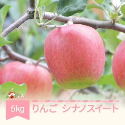 ふるさと納税 村山市 「シナノスイート」 　秀品　約5kg