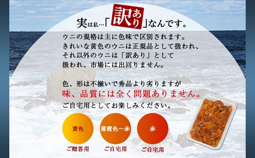 1260. 訳あり うに チリ産 冷凍 鱒 いくら 醤油漬け ウニ100g マスいくら 100g 雲丹 不揃い うに わけ あり 海鮮 丼 海鮮丼 刺身 うに丼 いくら丼 魚卵 自宅用 送料無料 北海道 弟子屈町