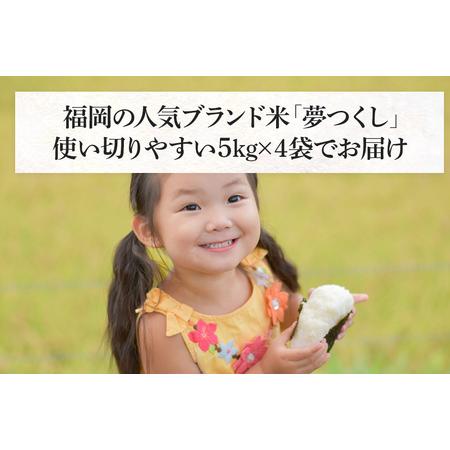 ふるさと納税 新米 令和5年産　福岡県産ブランド米「夢つくし」白米　計20kg 福岡県田川市