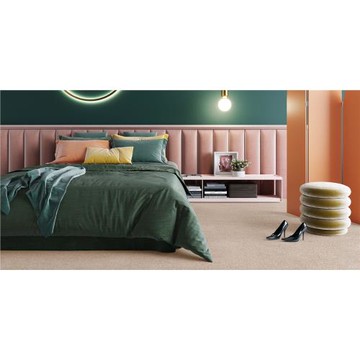 【范登伯格】 舒芙柔比利時頂級超柔舒適長毛地毯  43   160x240cm