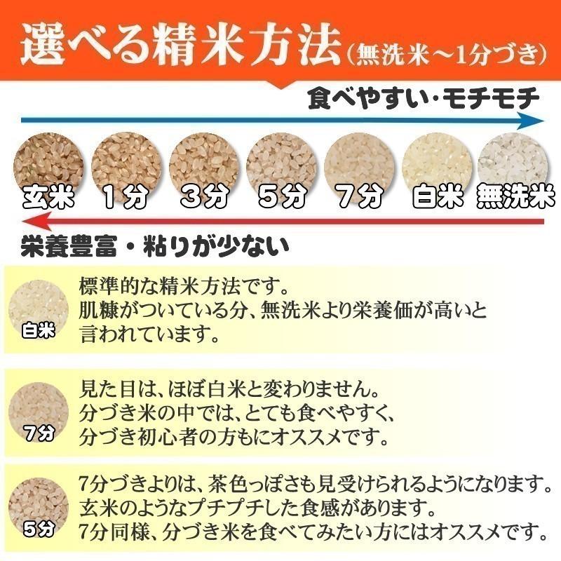 米 お米 ひとめぼれ 750g 5合 令和4年産 岩手県産 白米 無洗米 分づき 玄米 お好み精米 送料無料 当日精米 ポイント消化 真空パック メール便 ゆうパケ