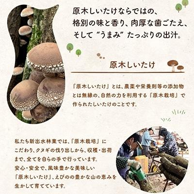 ふるさと納税 えびの市 宮崎県えびの市産　原木栽培乾しいたけ　180g×3袋　合計540g