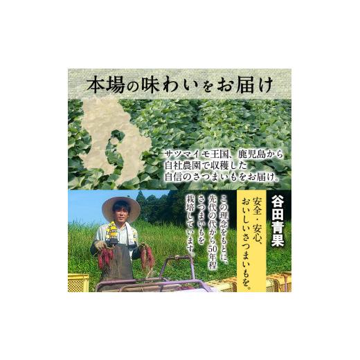 ふるさと納税 鹿児島県 志布志市 高系14号！ホクホクさつまいも(ミックスサイズ5kg×2箱・計10kg) a5-005