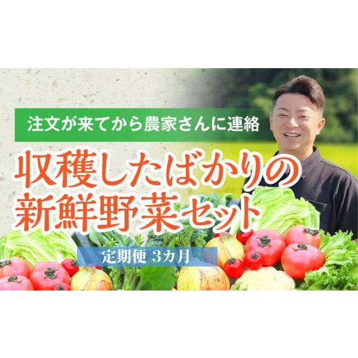 ふるさと納税 岩手県 一関市 注文が来てから収穫発送！収穫したばかりの新鮮野菜セットお試しコース 《7〜8品》  季節のお野菜 おまかせ お…