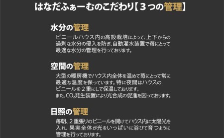 伊賀忍者いちご プレミアムモカベリー 4パックセット（約270g×4）