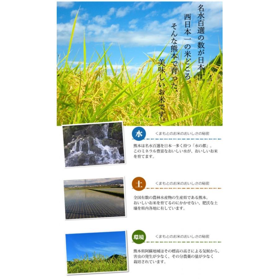 くまさんの輝き 米 送料無料 2kg 令和5年産 熊本県産 お米 白米 玄米 コシヒカリ ヒノヒカリ 森のくまさん