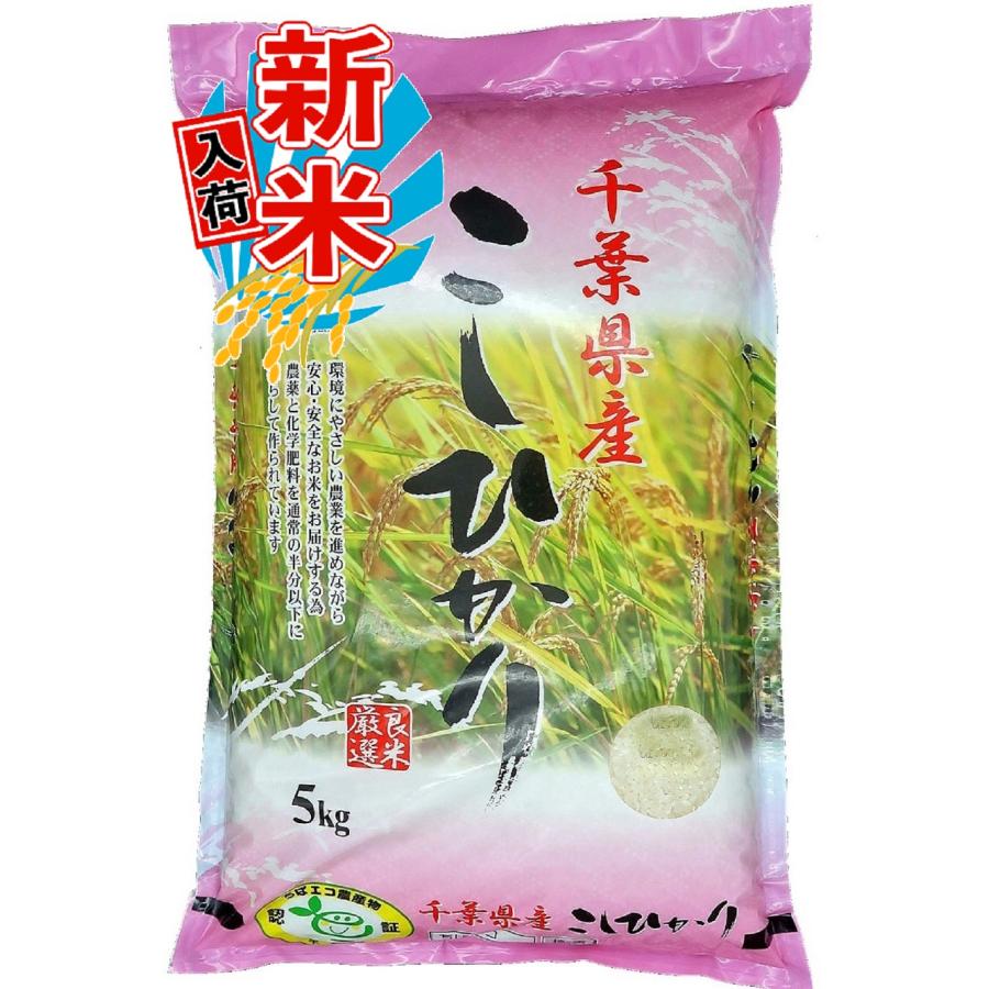 新米入荷 令和5年 千葉県産 エコ米 コシヒカリ 5kg 白米 精米 米 お米 送料無料(一部地域を除く) 減農薬 新米