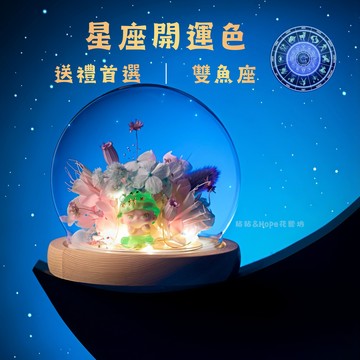【快速出貨】十二星座燈飾花盅－雙魚座 Pisces ｜生日 祝福 粘粘&Hope花藝坊