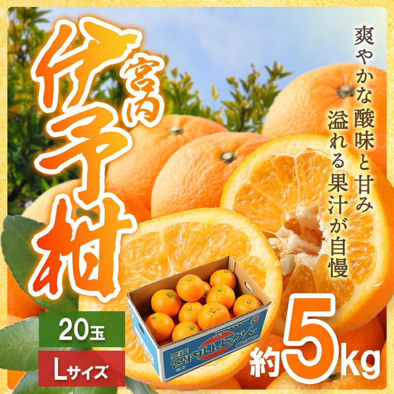  フルーツ 愛媛県産 宮内伊予柑 Lサイズ 20玉詰  (約 5kg ＜JAえひめ中央＞ いよかん 青果 果物 ギフト 送料無料 EH003