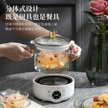 110v養生壺出口美國加拿大日本家用煮茶器隔水燉小型多功能電陶爐