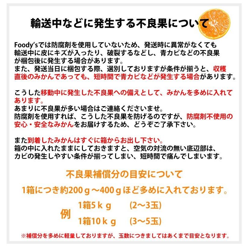 みかん 10kg 送料無料 訳あり 温州みかん 送料無料 S〜3L 熊本県産 熊本みかん 訳ありみかん 蜜柑 ミカン