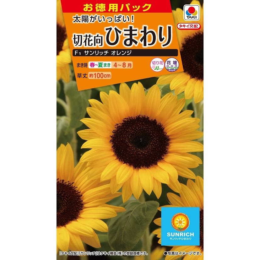 お徳用 切花向 ひまわり F1 サンリッチオレンジ 小袋 [FHM602]【花の種】【タキイのタネ】【ガーデニング】 通販  LINEポイント最大0.5%GET LINEショッピング