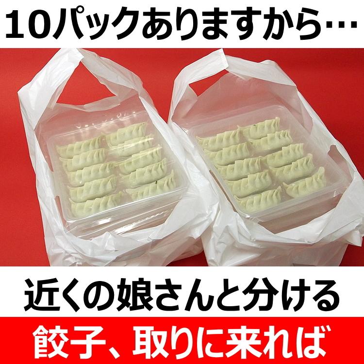 餃子 ギョーザ 10パック 取り寄せ 手づくり 冷凍 点心 中華