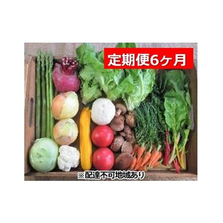 ふるさと納税 旬の野菜・定期便（6か月） 広島県安芸高田市