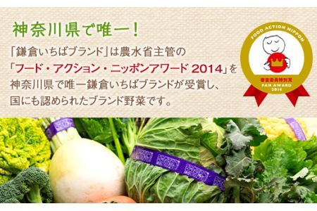 「鎌倉いちばブランド」新鮮お野菜詰め合わせセット