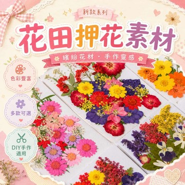 花田押花素材 乾燥花DIY手作材料包｜手帳拼貼 滴膠飾品 相框卡片裝飾 多款花材可選