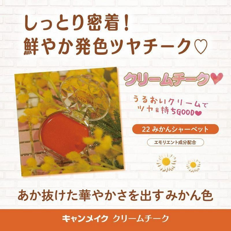 キャンメイク クリームチーク22 みかんシャーベット 通販 LINEポイント最大0.5%GET LINEショッピング