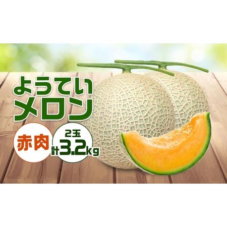 ふるさと納税 北海道 赤肉メロン 約1.6kg 2玉 メロン 赤肉 果物 フルーツ 甘い 完熟 スイーツ デザート 産直 国産 贈答品 お祝い ギフト羊蹄山.. 北海道倶知安町