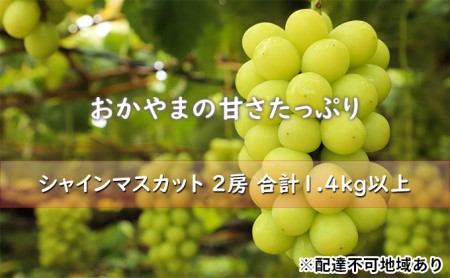 ぶどう 2024年 先行予約 おかやまの甘さたっぷり シャイン マスカット 2房 合計1.4kg以上 マスカット ブドウ 葡萄  岡山県産 国産 フルーツ 果物 ギフト