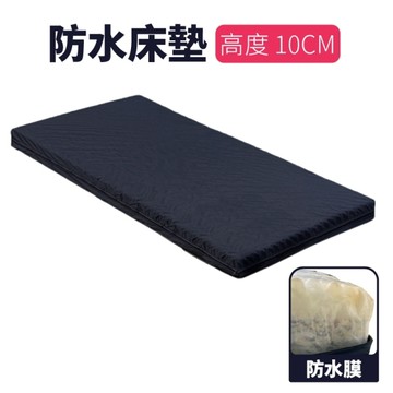 立新電動床床墊 防水款 厚10公分 兩面軟硬度不同 (病床/護理/醫療/單人床墊)