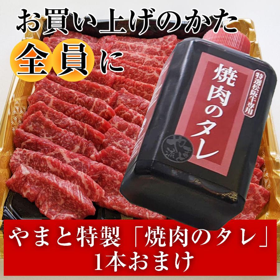 焼肉 モモ肉 タレ付き 500g 5人前 〜 6人前 ミックスホルモン300g セット