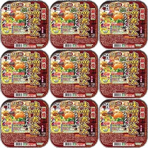 五木食品 鍋焼味噌煮込みうどん 249G×9個(常温保存商品)(生タイプ即席?)