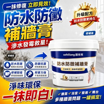 免運 防水防霉補墻 家用防潮牆面修補膏 修繕 壁癌 補土膏 壁癌補土 白色膩子膏 內牆塗料 裂縫修復 水泥漆 裂縫填補劑