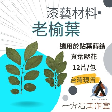【一方石】老榆葉 漆藝貼葉蒔繪材料 隔日配 真葉乾燥素材 12片/包 貼葉蒔繪 樹滴膠封入 DIY手作素材 台灣現貨