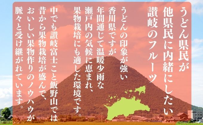 やみつきになる果汁 さぬきひめ苺 4パック