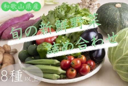 旬の新鮮野菜詰め合わせ 8種以上