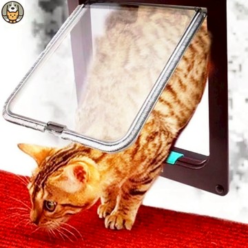 【快速出貨】磁性貓狗進出門 DIY   磁吸式進出門 寵物門 專利證明