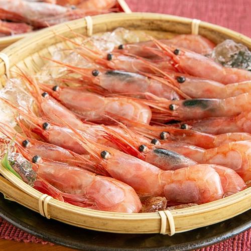 糸魚川産 南蛮エビ 500g えび 海老 煌凛丸 のし無料 送料無料