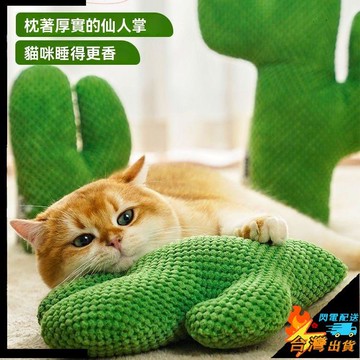 【台灣出貨】寵物玩具 仙人掌逗貓玩具 貓咪用品 自嗨貓薄荷玩具 解悶耐咬 磨牙 寵物玩具