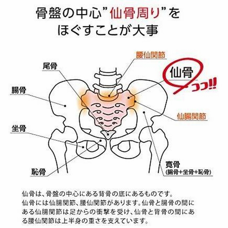 Proidea プロイデア コシレッチ 仙骨クッション 腰痛 クッション 姿勢 グッズ 改善 グッズ プレゼント 骨盤 クッション 骨盤矯正 ゆがみ 矯正 ギフト プレゼント 通販 Lineポイント最大0 5 Get Lineショッピング