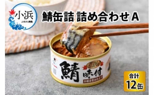 鯖缶詰12缶詰め合わせＡ 180g×12缶　本醸造醤油仕立て、唐辛子、生姜、味噌煮、水煮 [B-003031]