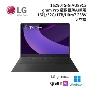 【限時快閃】LG 16Z90TS-G.AU89C2 16吋 GRAM PRO極致輕薄 AI 筆電-太空灰