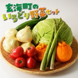 いろどり野菜セット