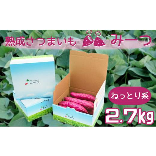 ふるさと納税 徳島県 鳴門市 熟成さつまいも みーつ (ねっとり系) 2.7kg